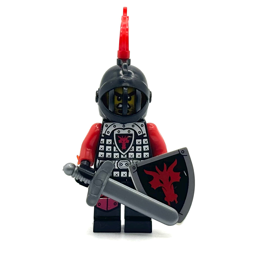 Dragon Knights Fig Pack