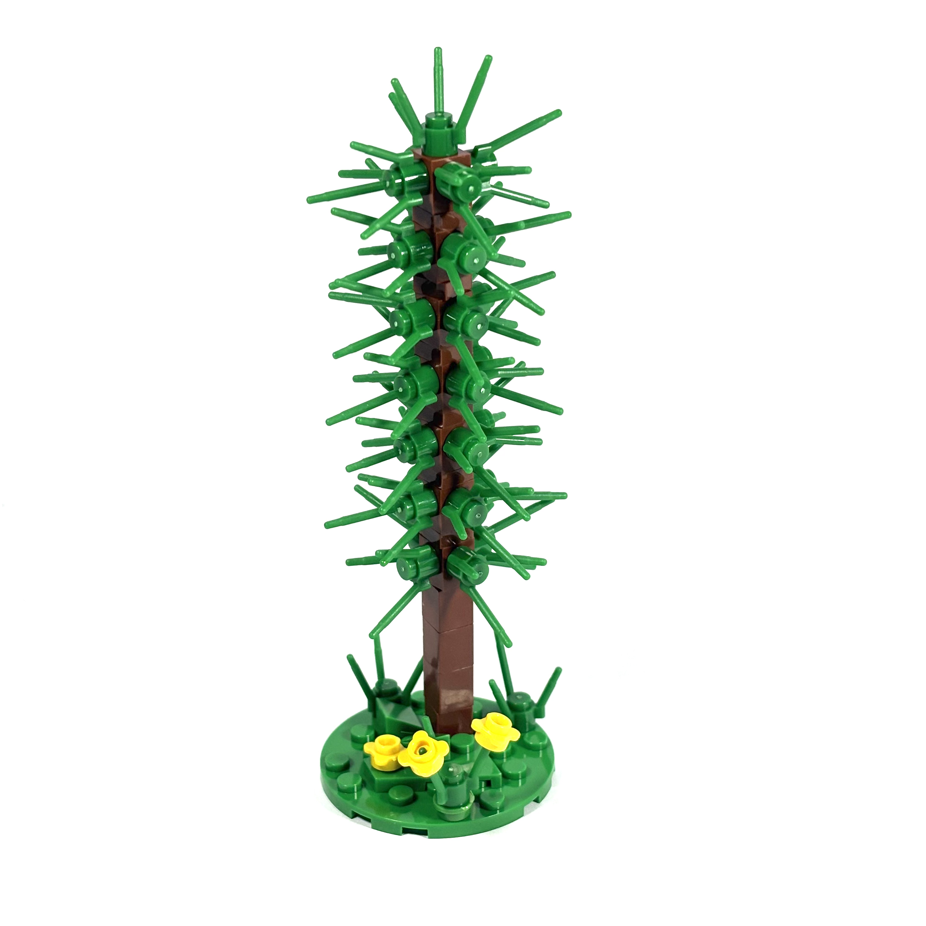 Thin Conifer Tree