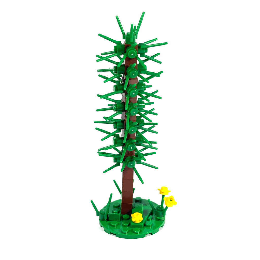 Thin Conifer Tree