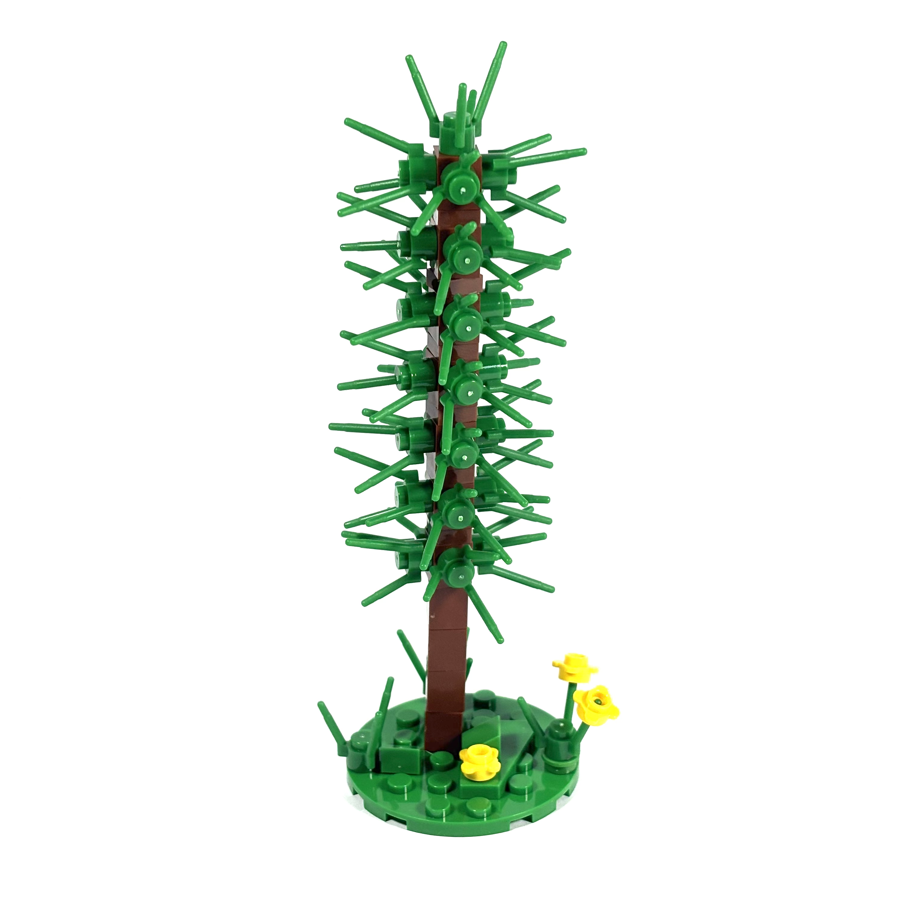 Thin Conifer Tree