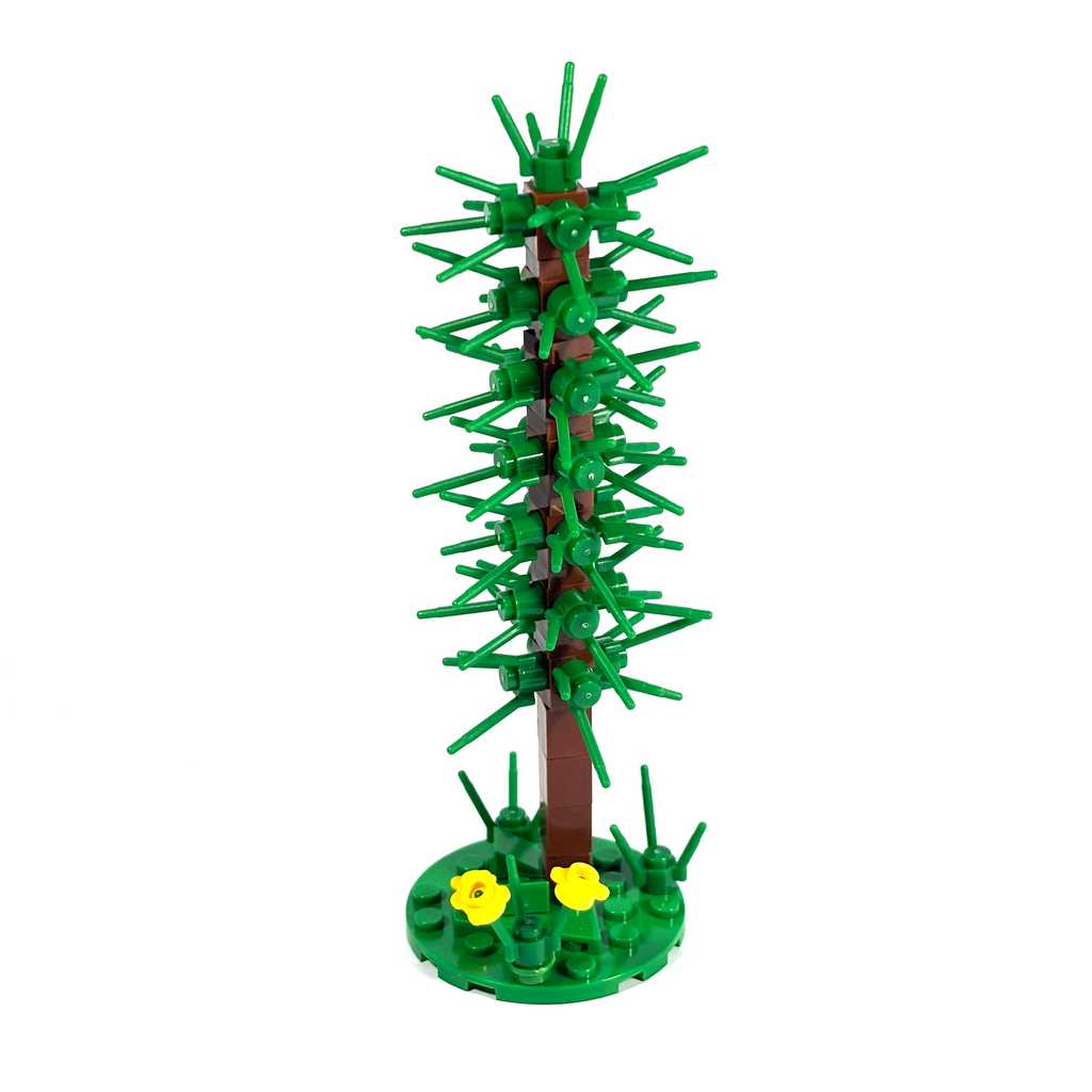 Thin Conifer Tree