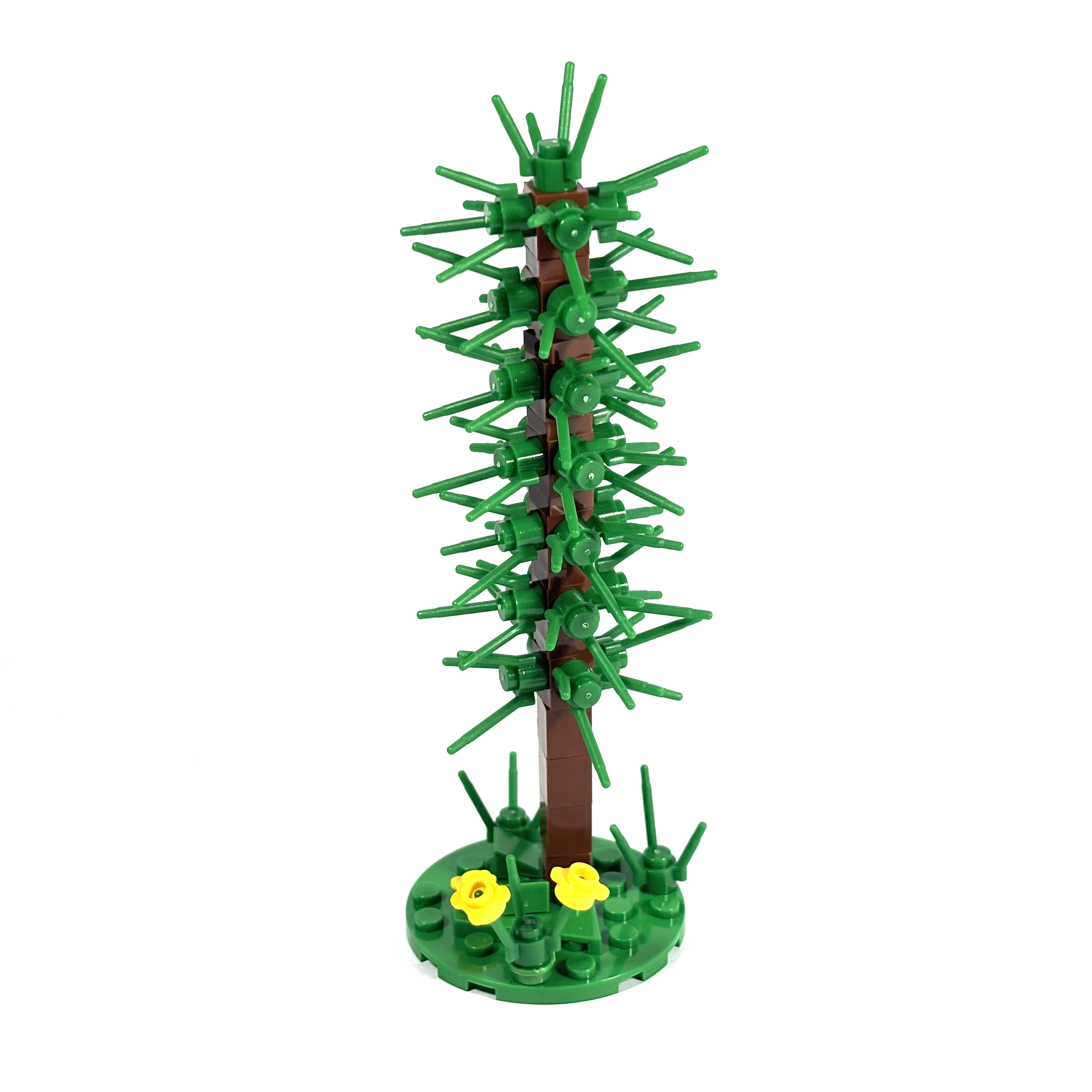 Thin Conifer Tree
