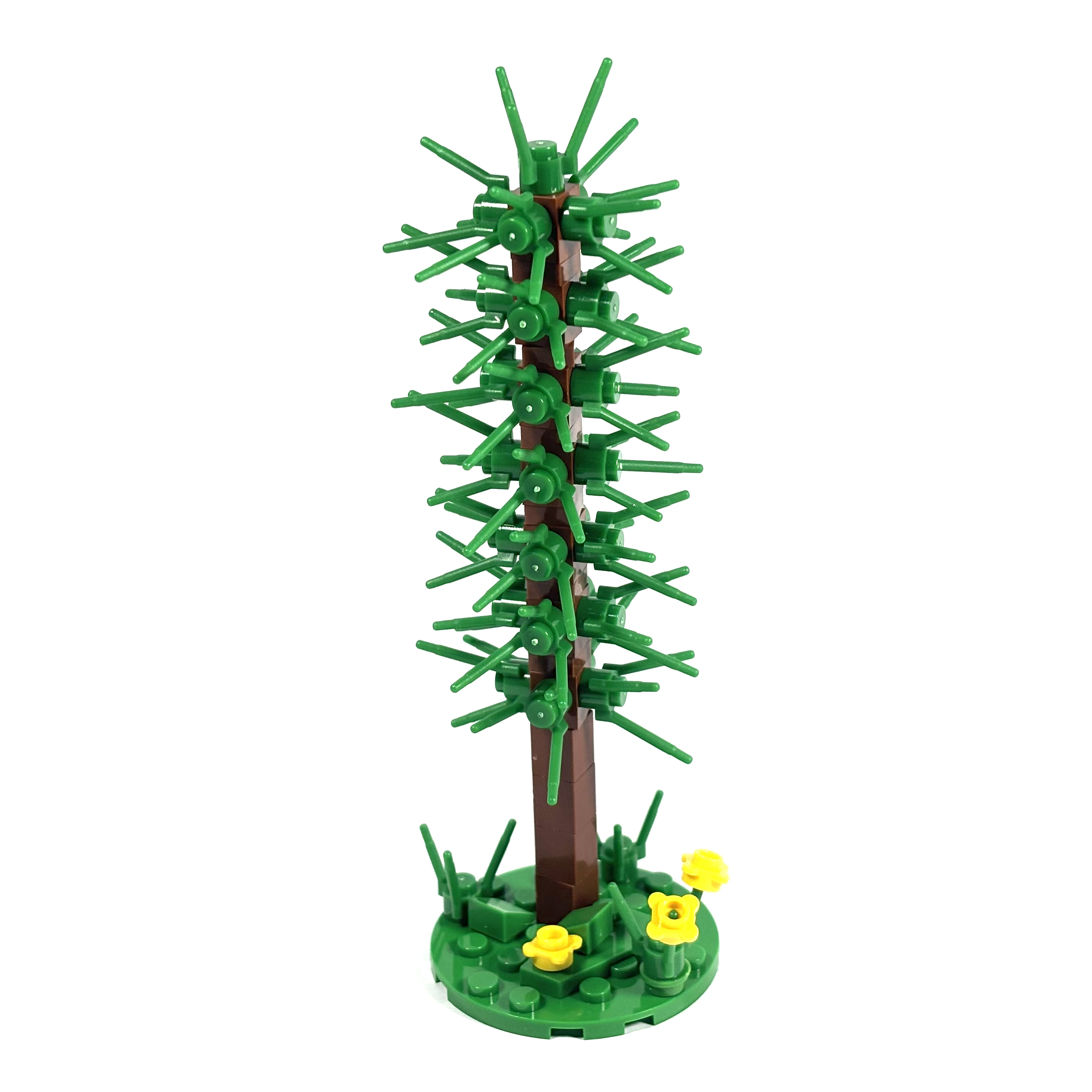 Thin Conifer Tree