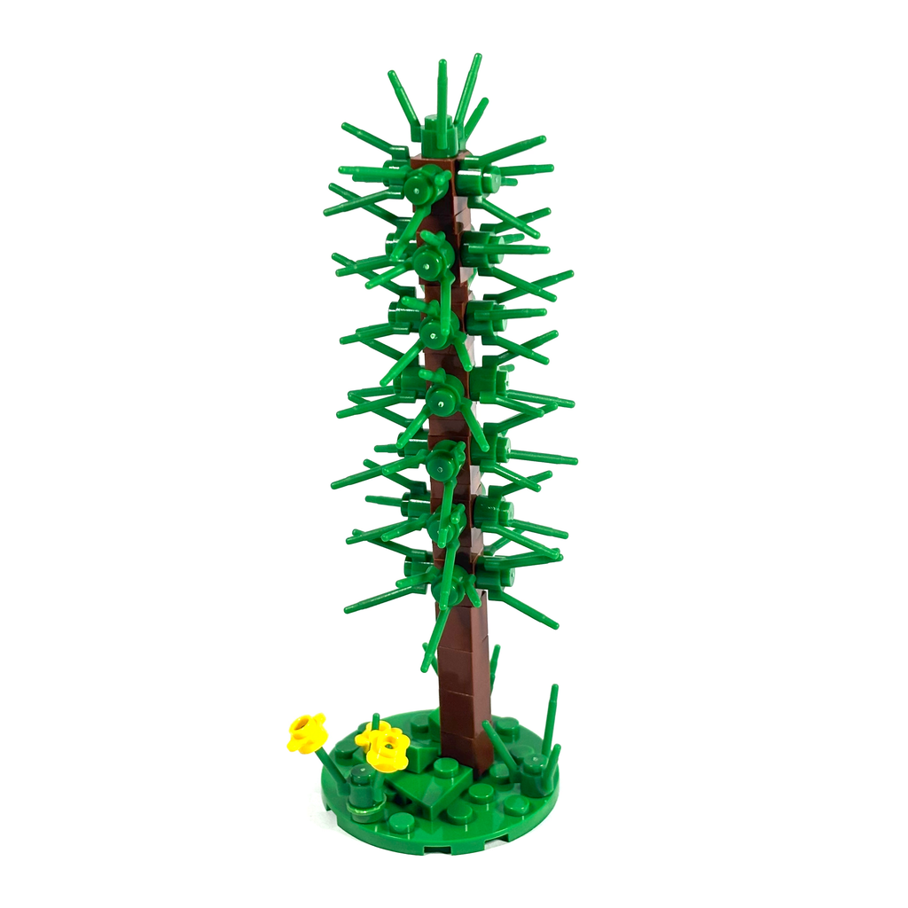 Thin Conifer Tree