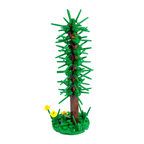 Thin Conifer Tree