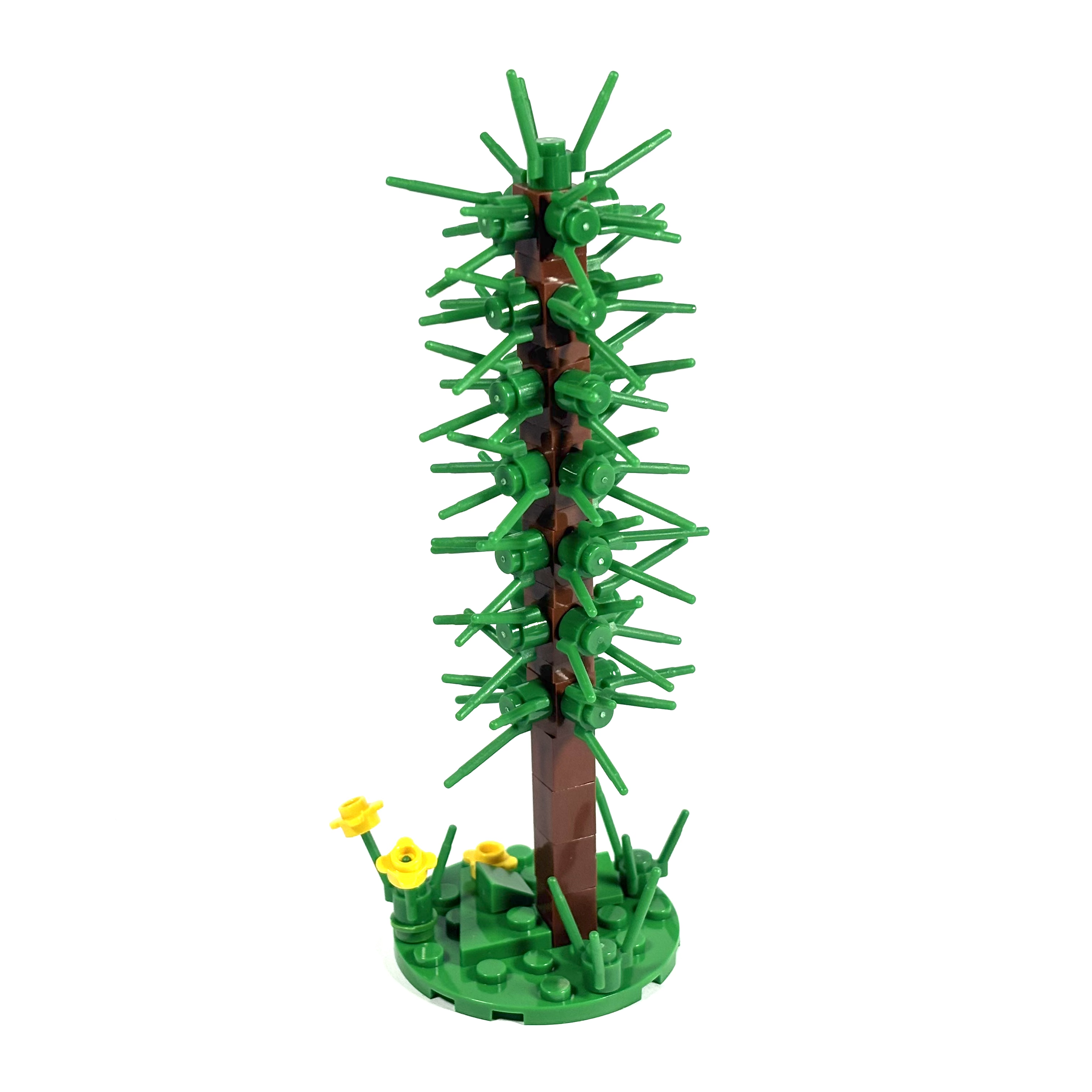 Thin Conifer Tree