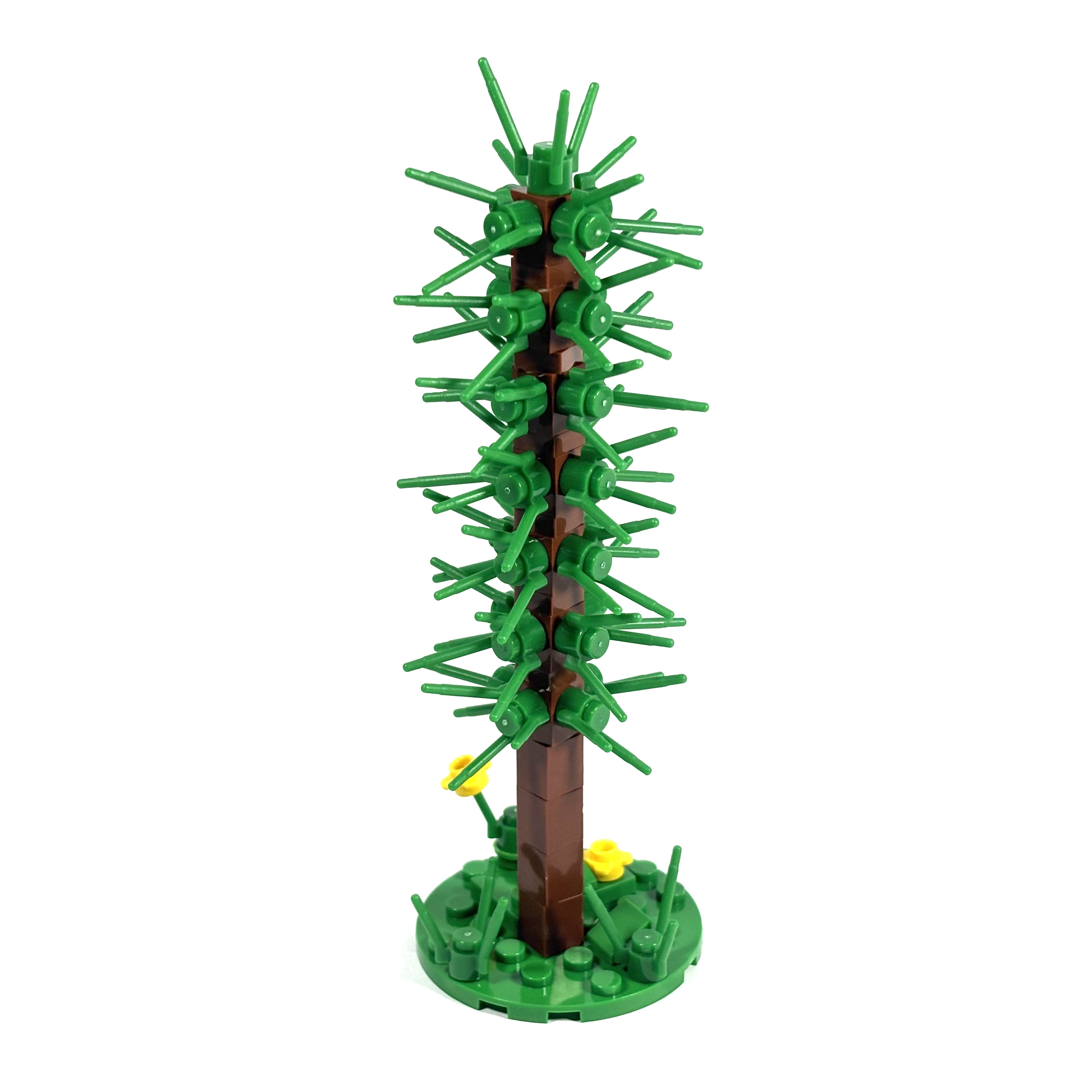 Thin Conifer Tree