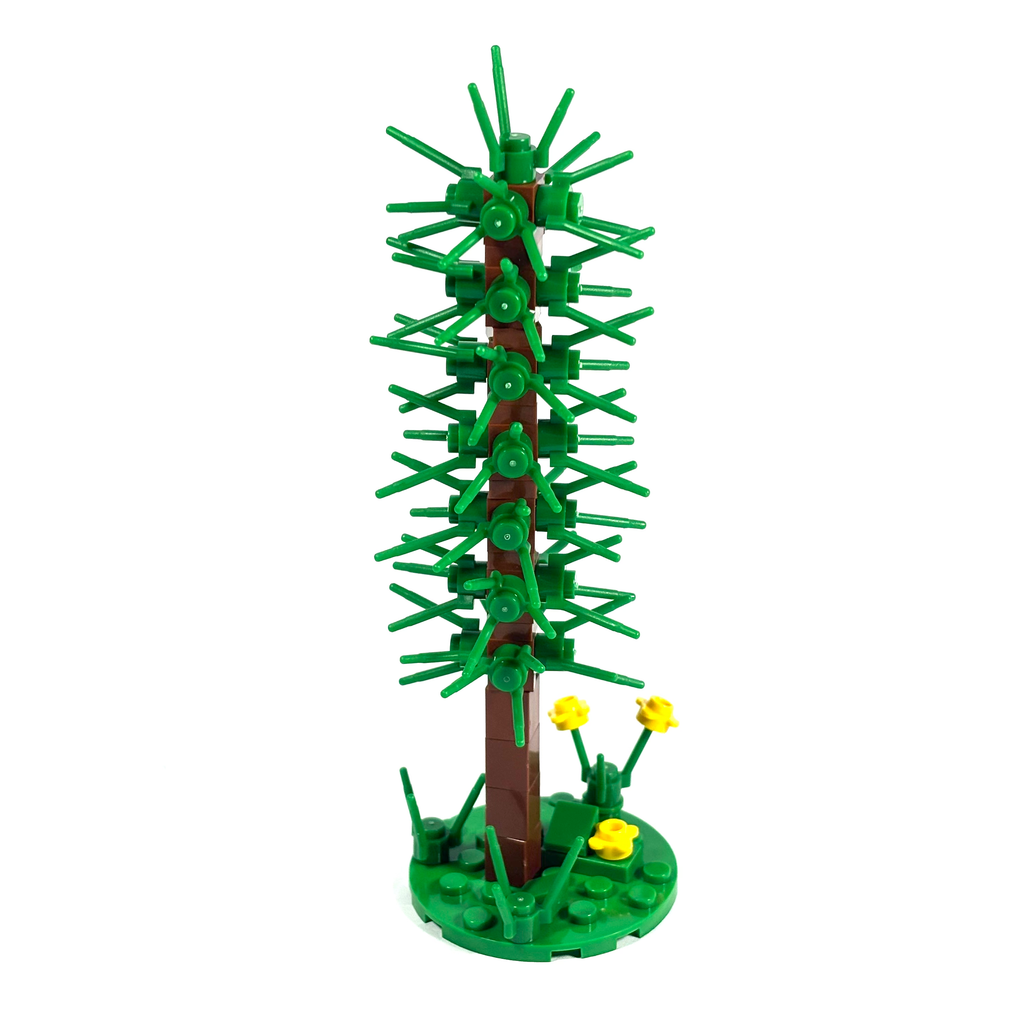 Thin Conifer Tree