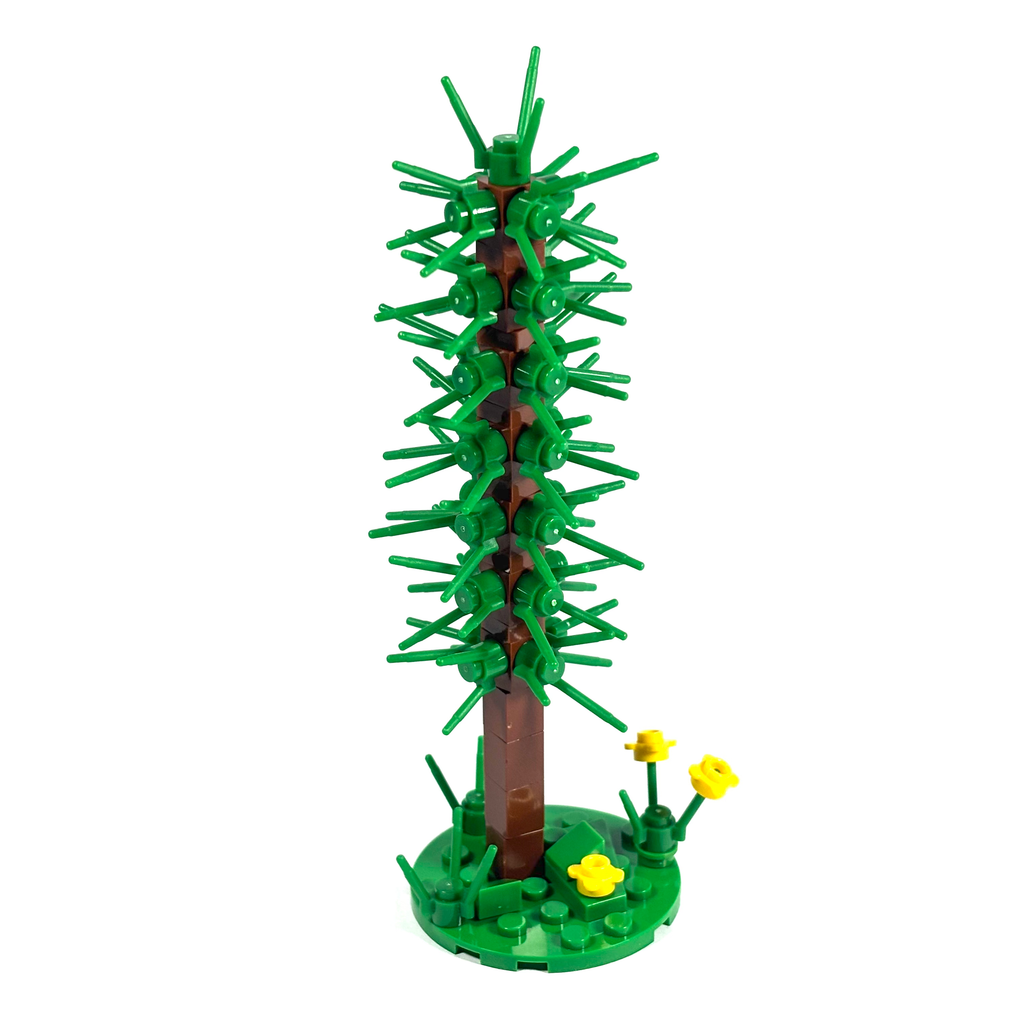 Thin Conifer Tree