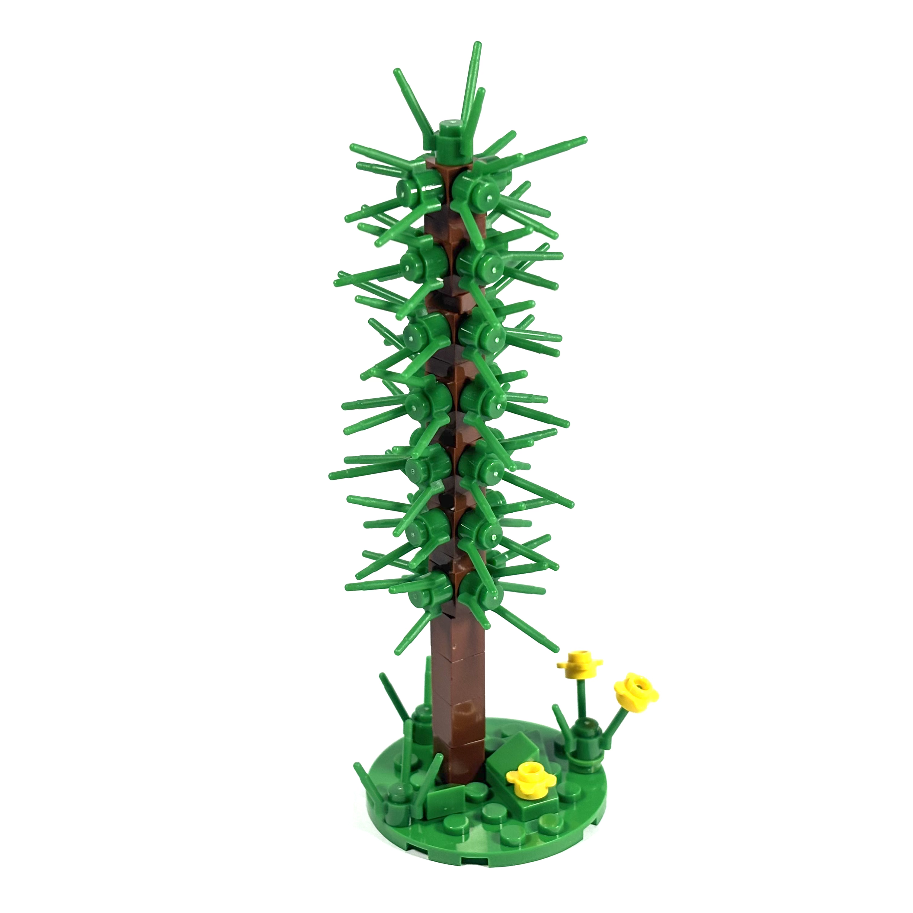 Thin Conifer Tree
