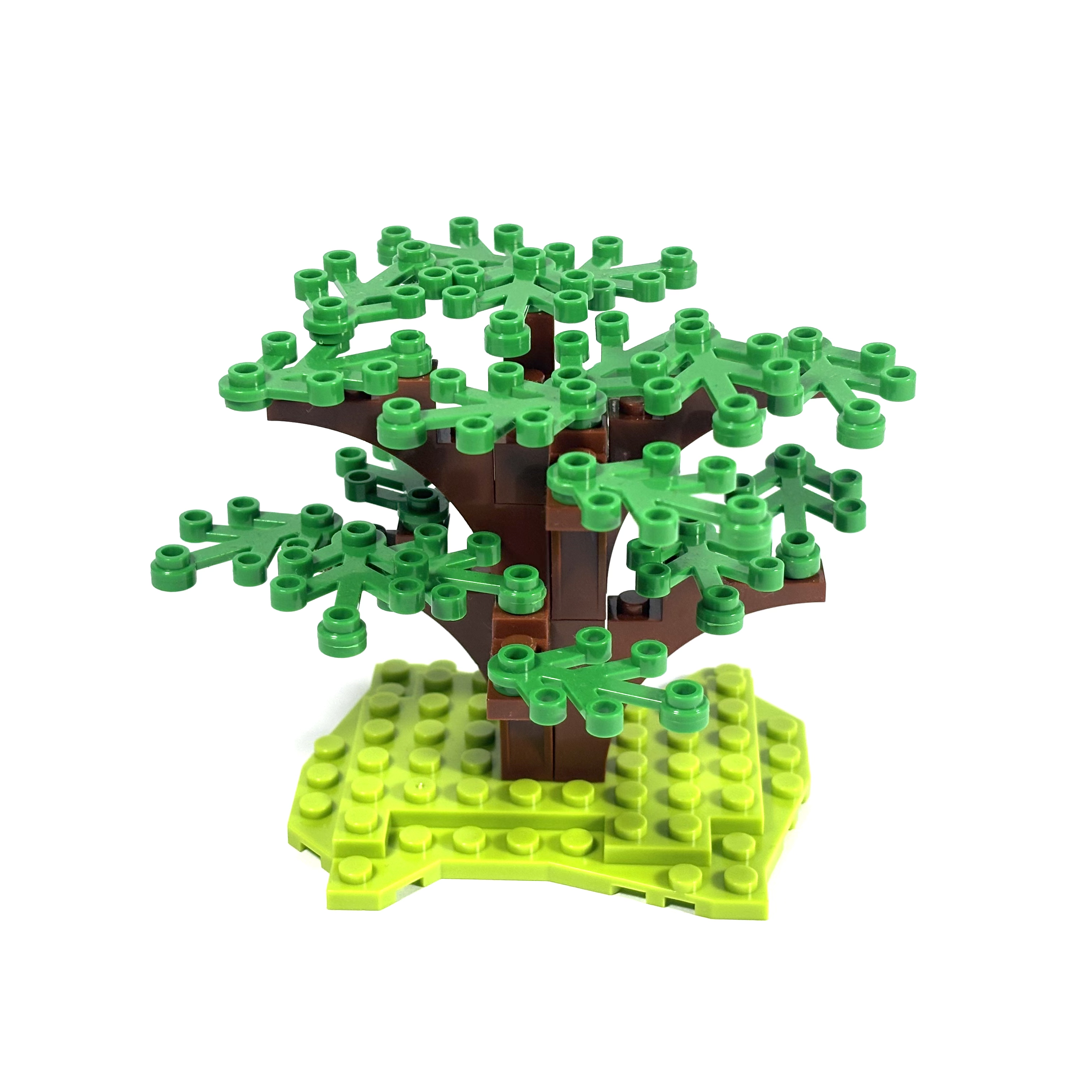 Dogwood Tree