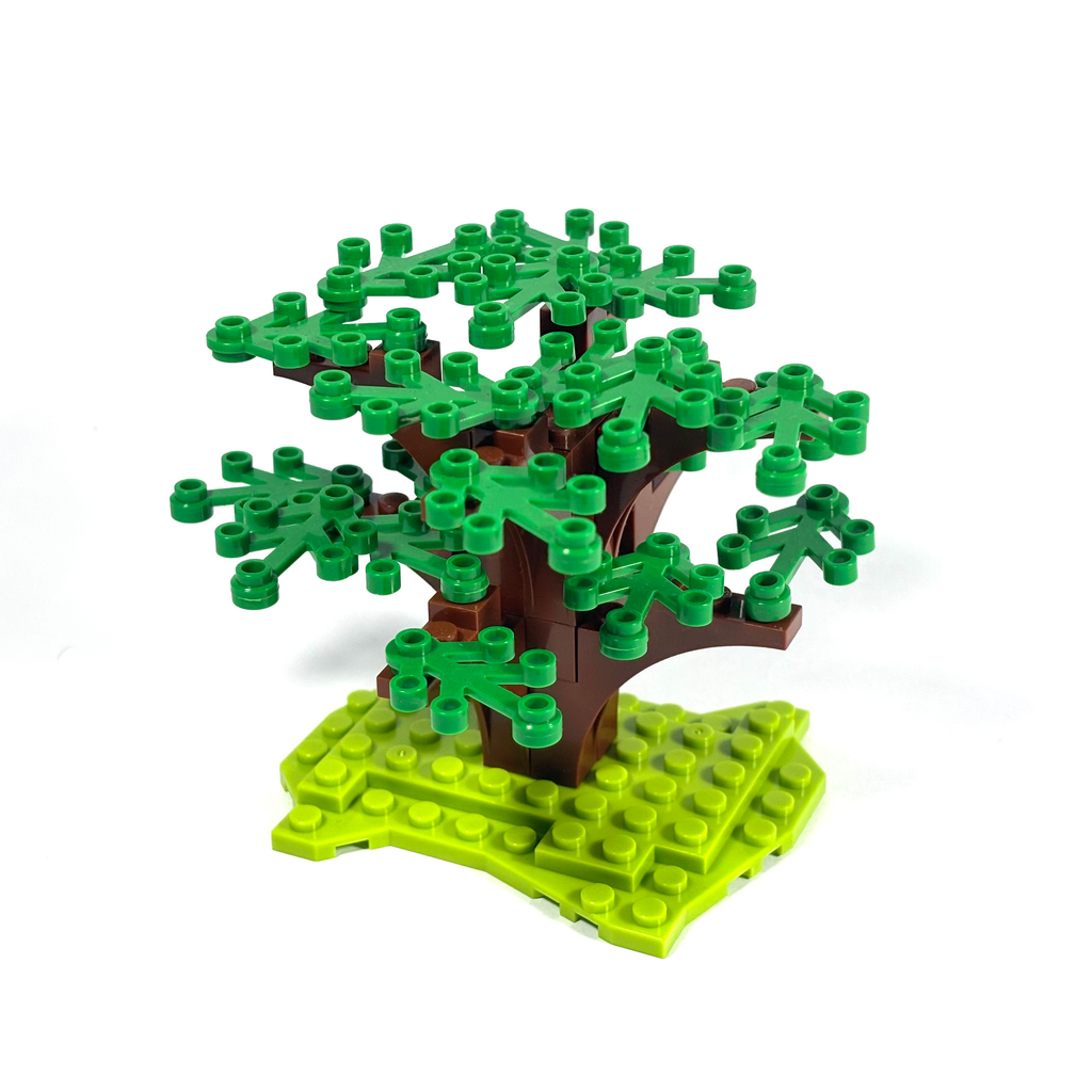 Dogwood Tree