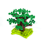 Dogwood Tree