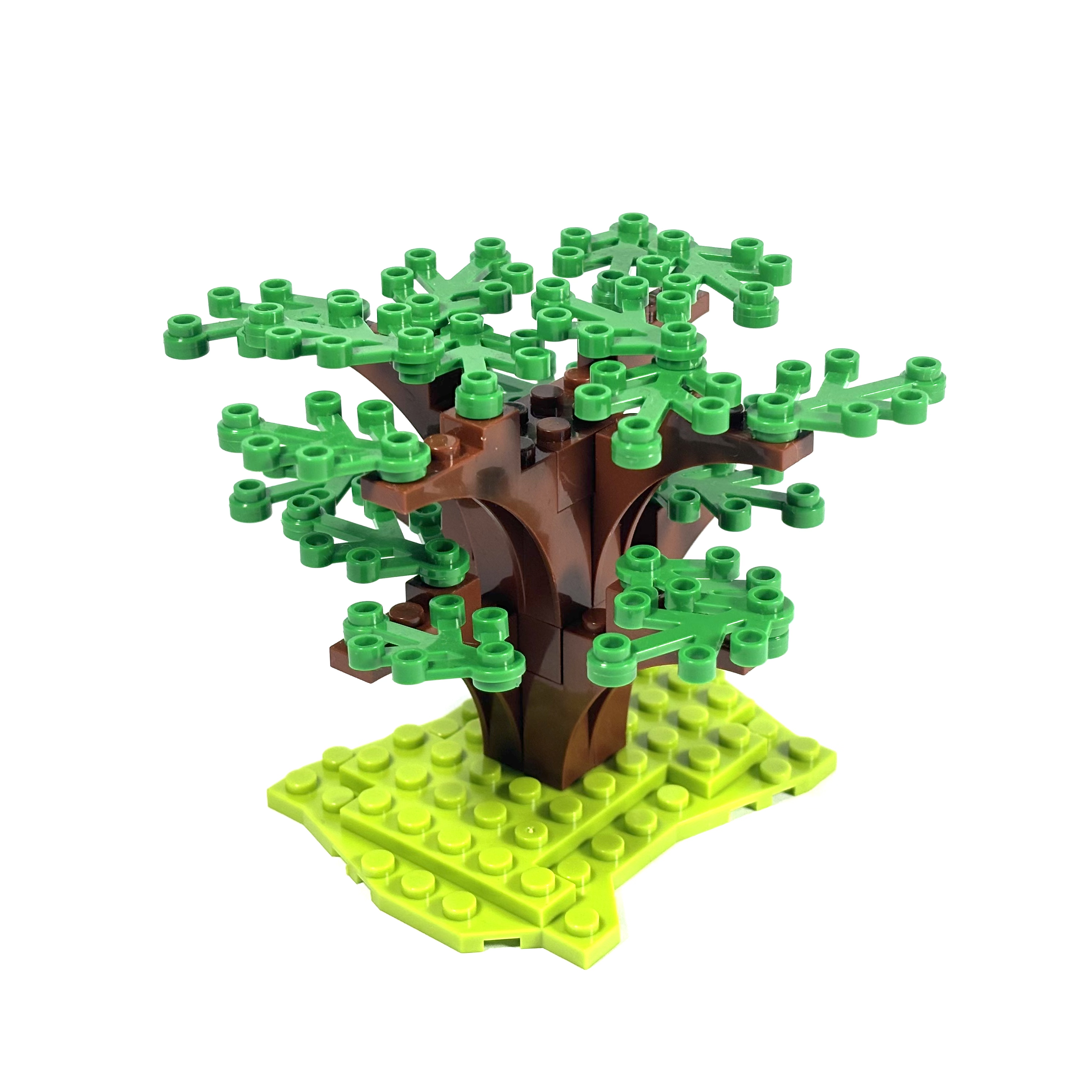 Dogwood Tree