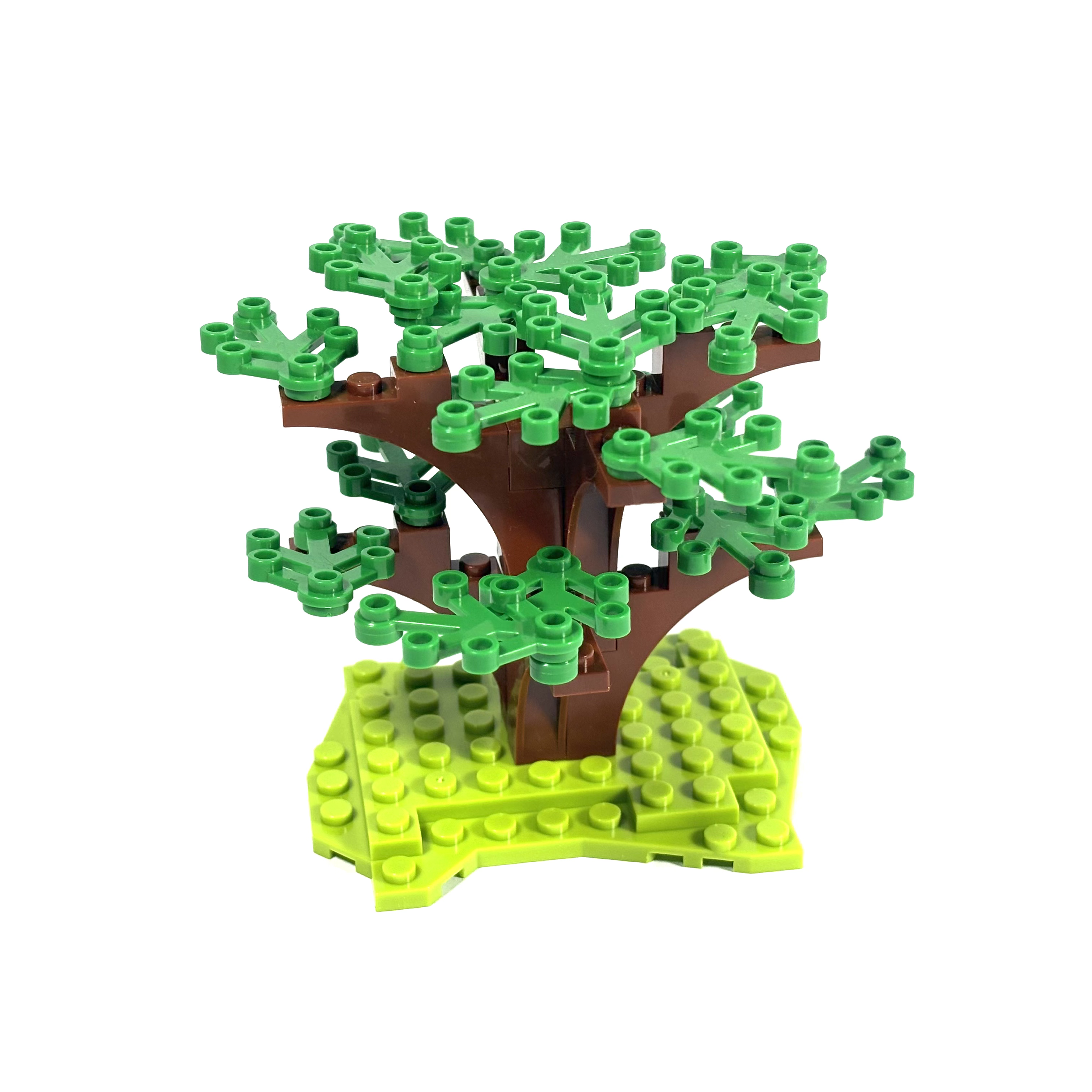 Dogwood Tree
