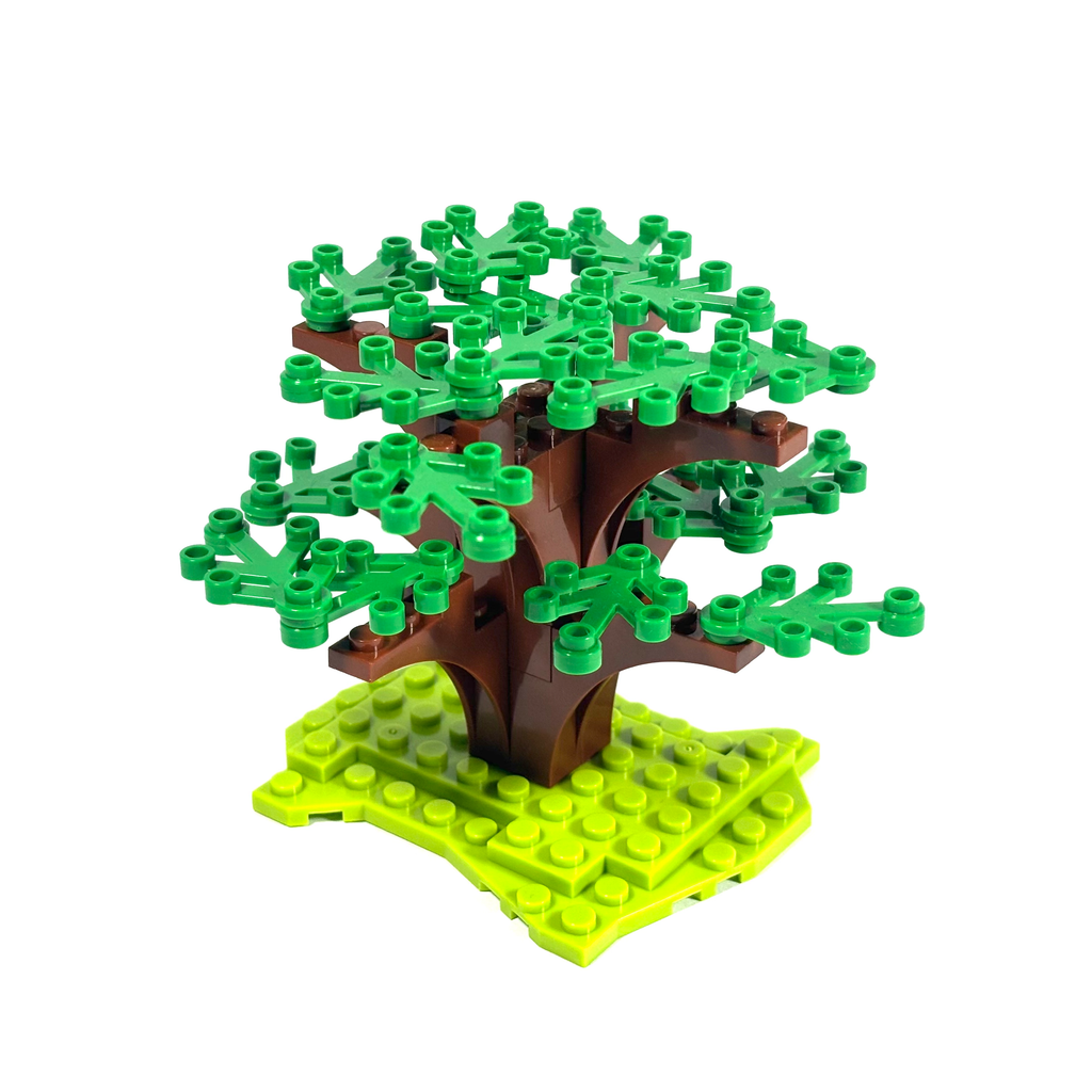 Dogwood Tree