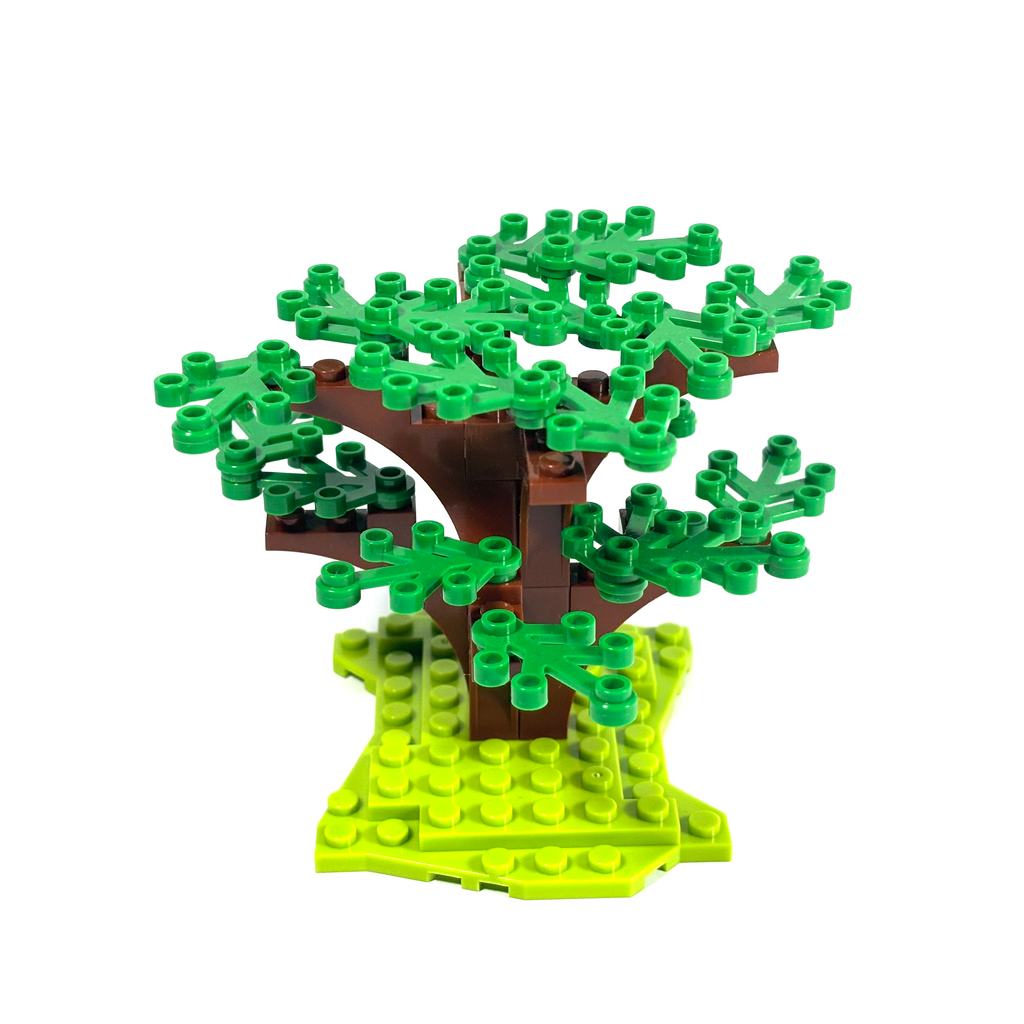 Dogwood Tree