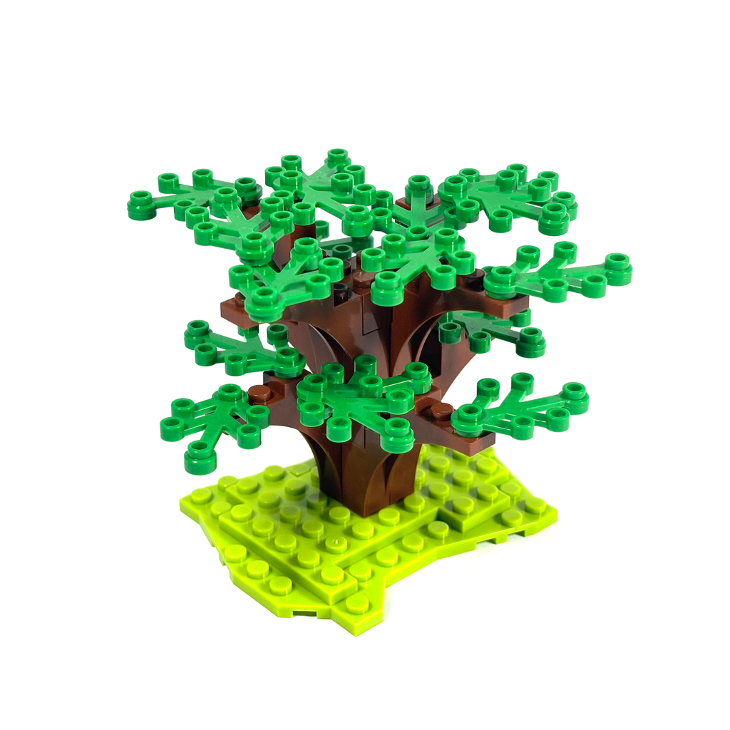 Dogwood Tree