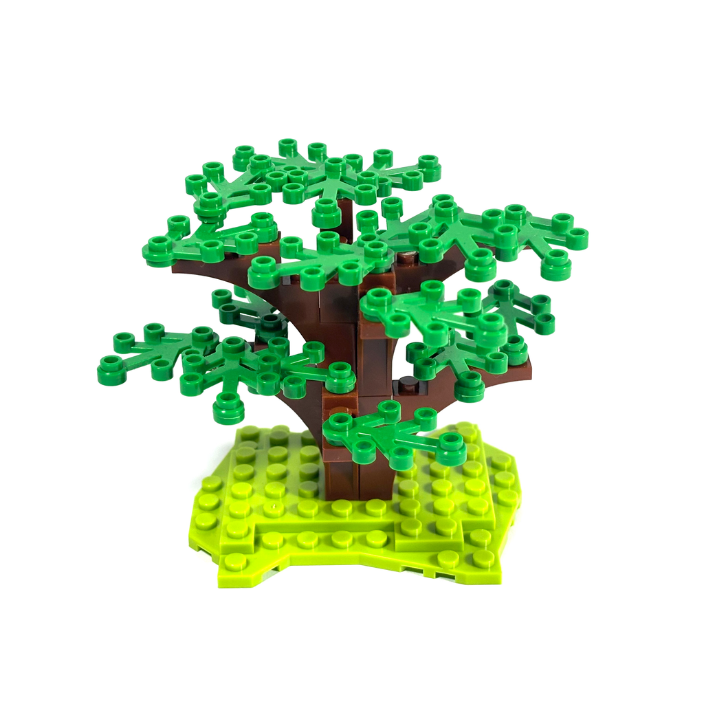 Dogwood Tree