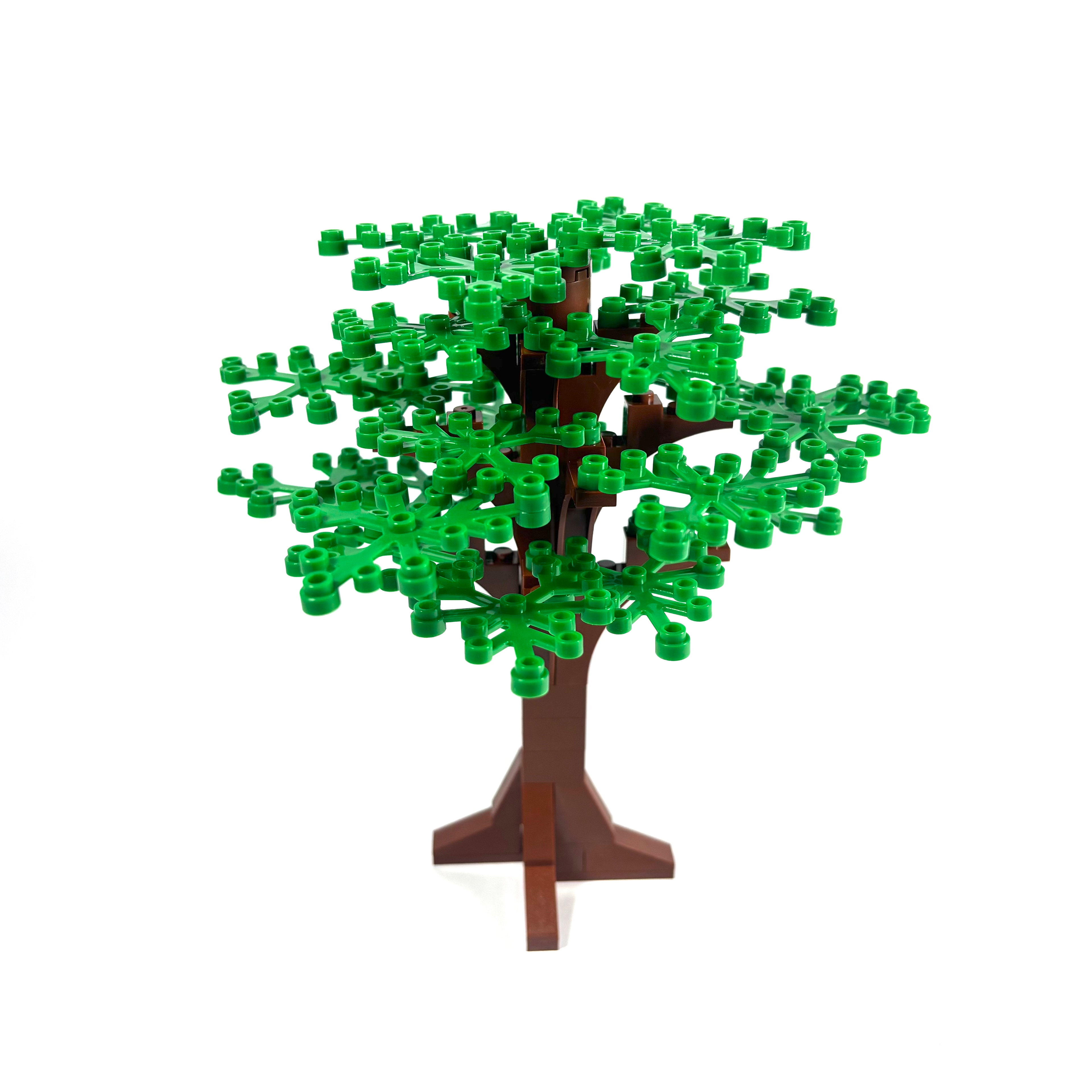Large Oak Tree