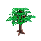 Large Oak Tree