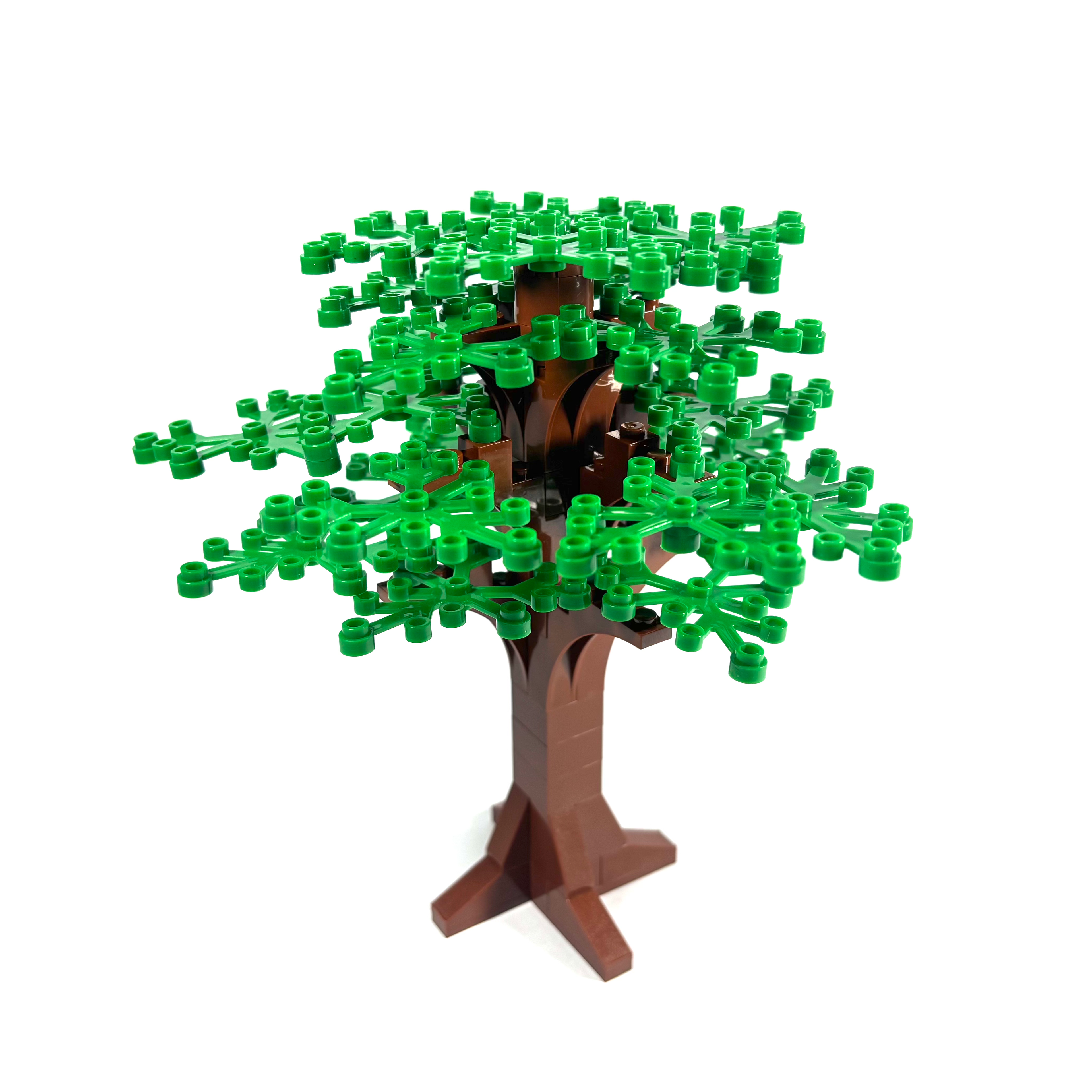 Large Oak Tree