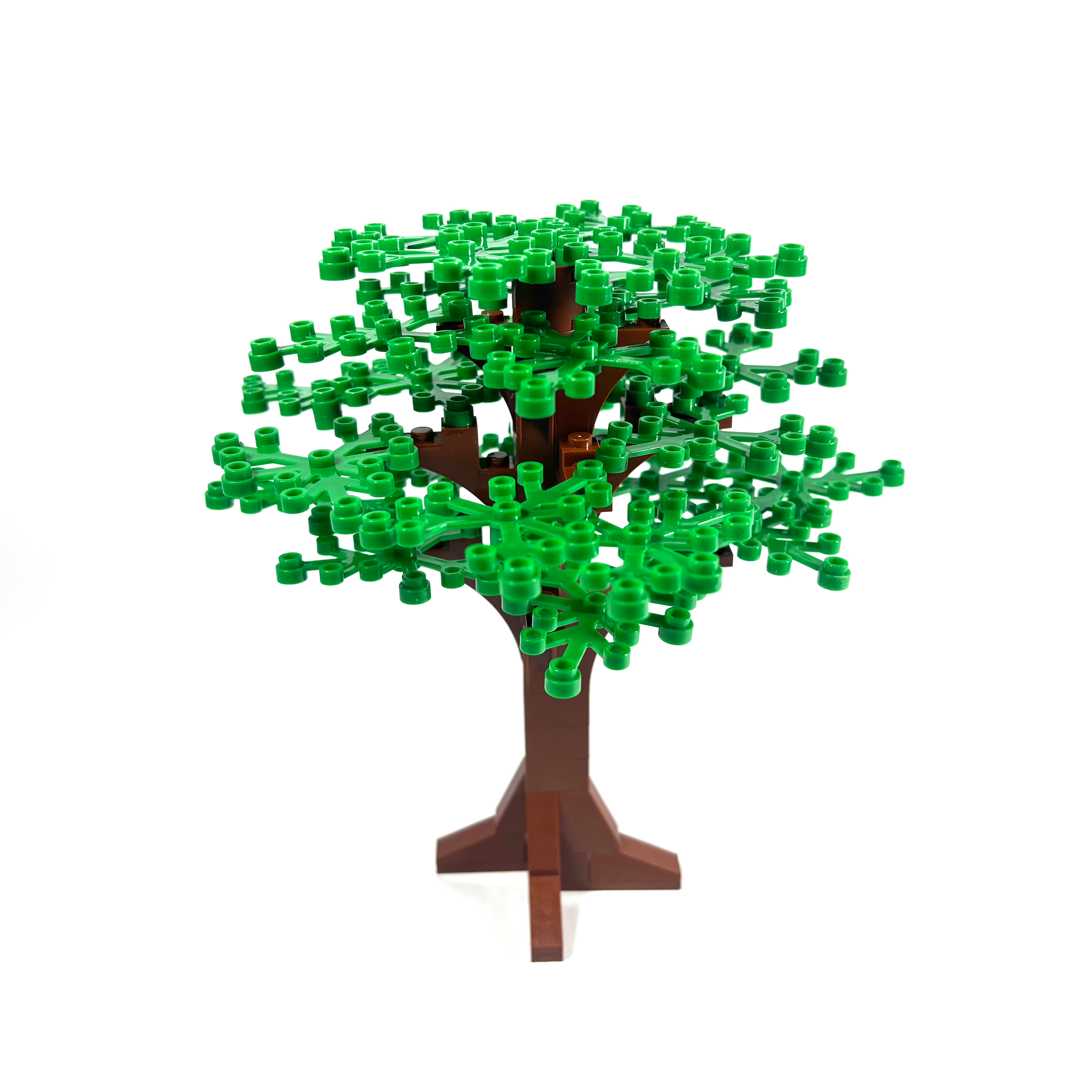 Large Oak Tree