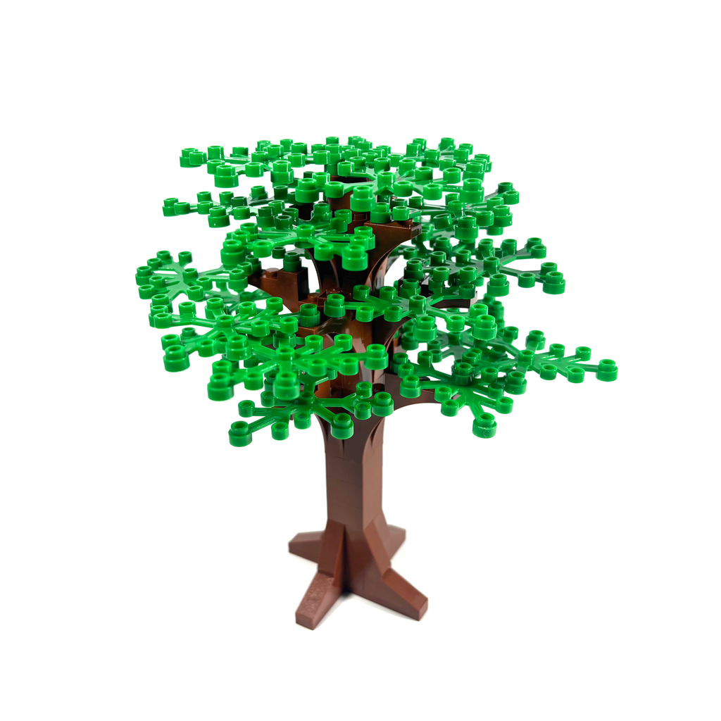 Large Oak Tree
