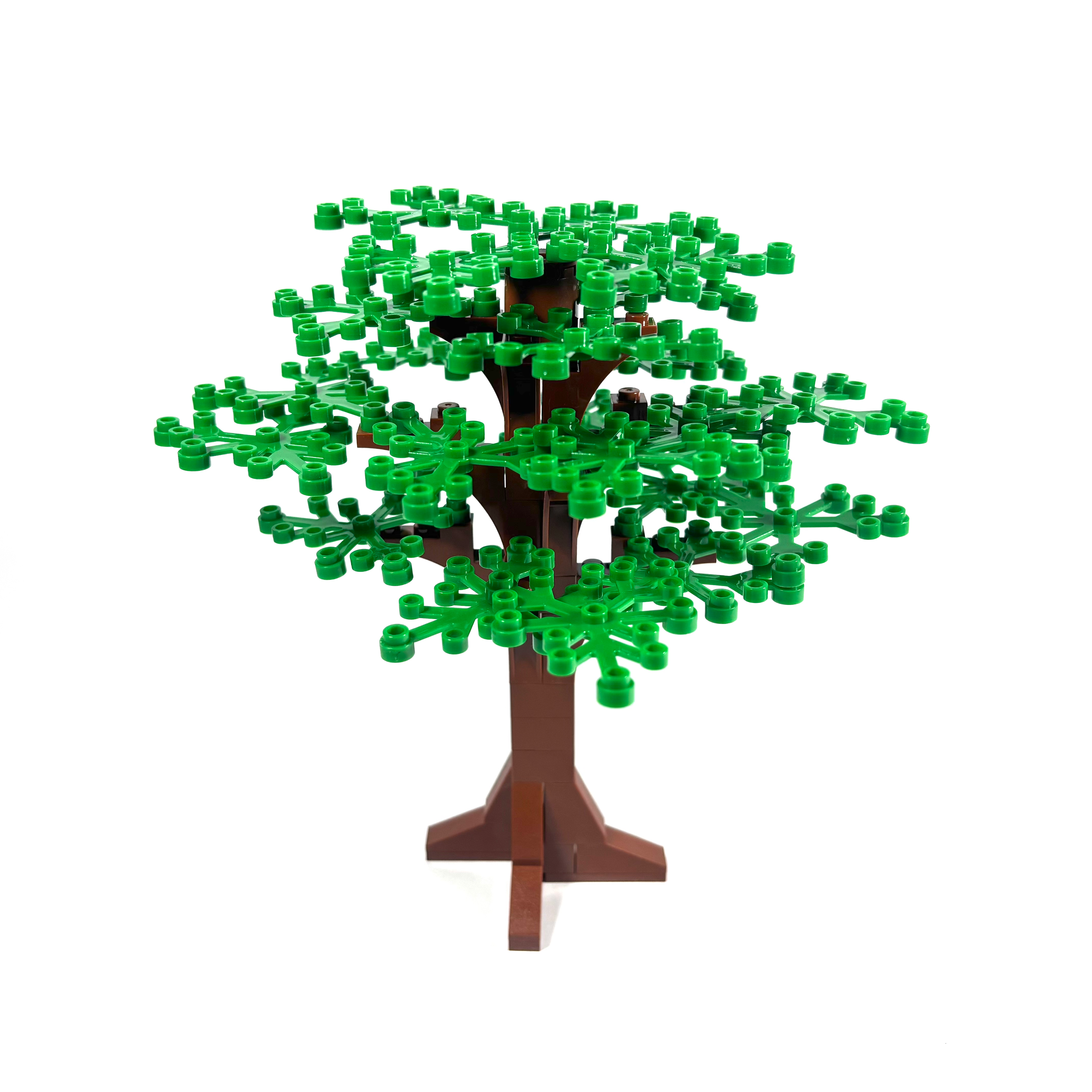 Large Oak Tree