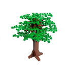 Large Oak Tree