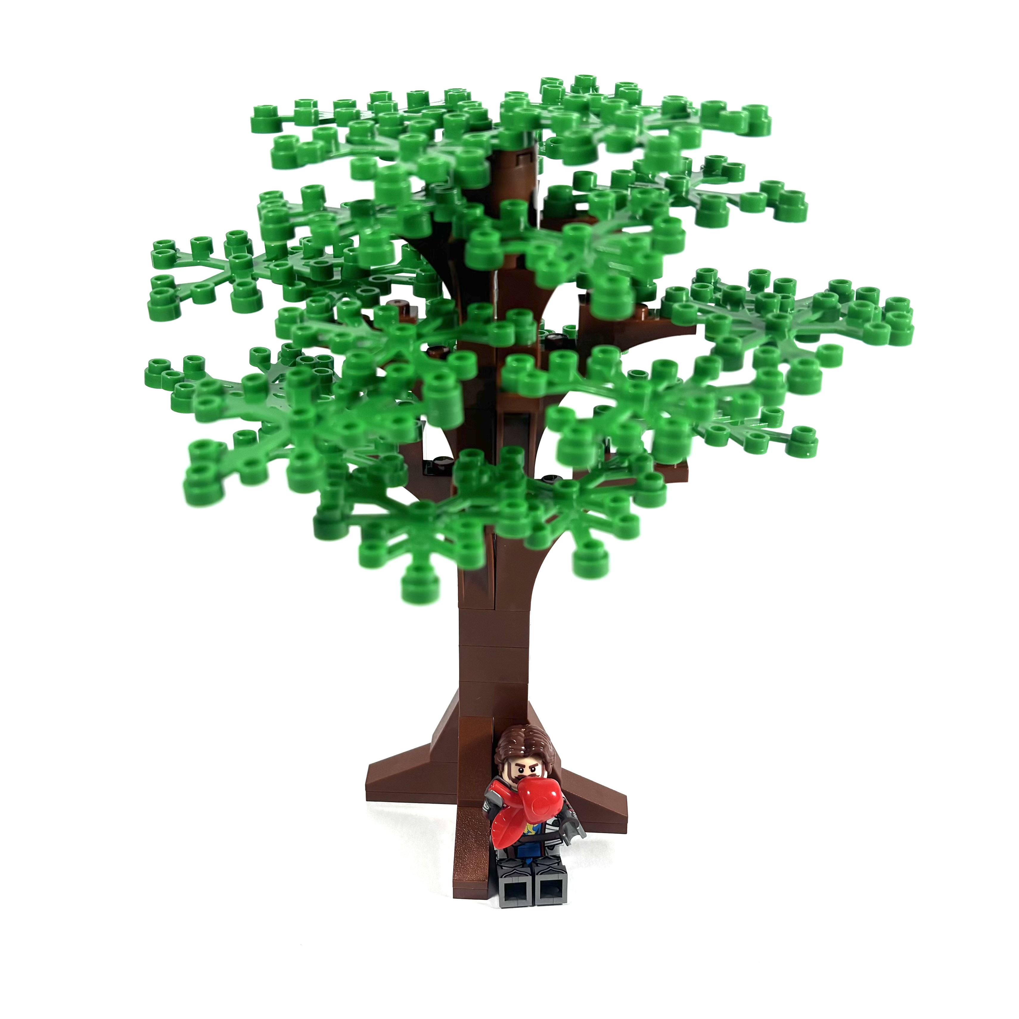 Large Oak Tree
