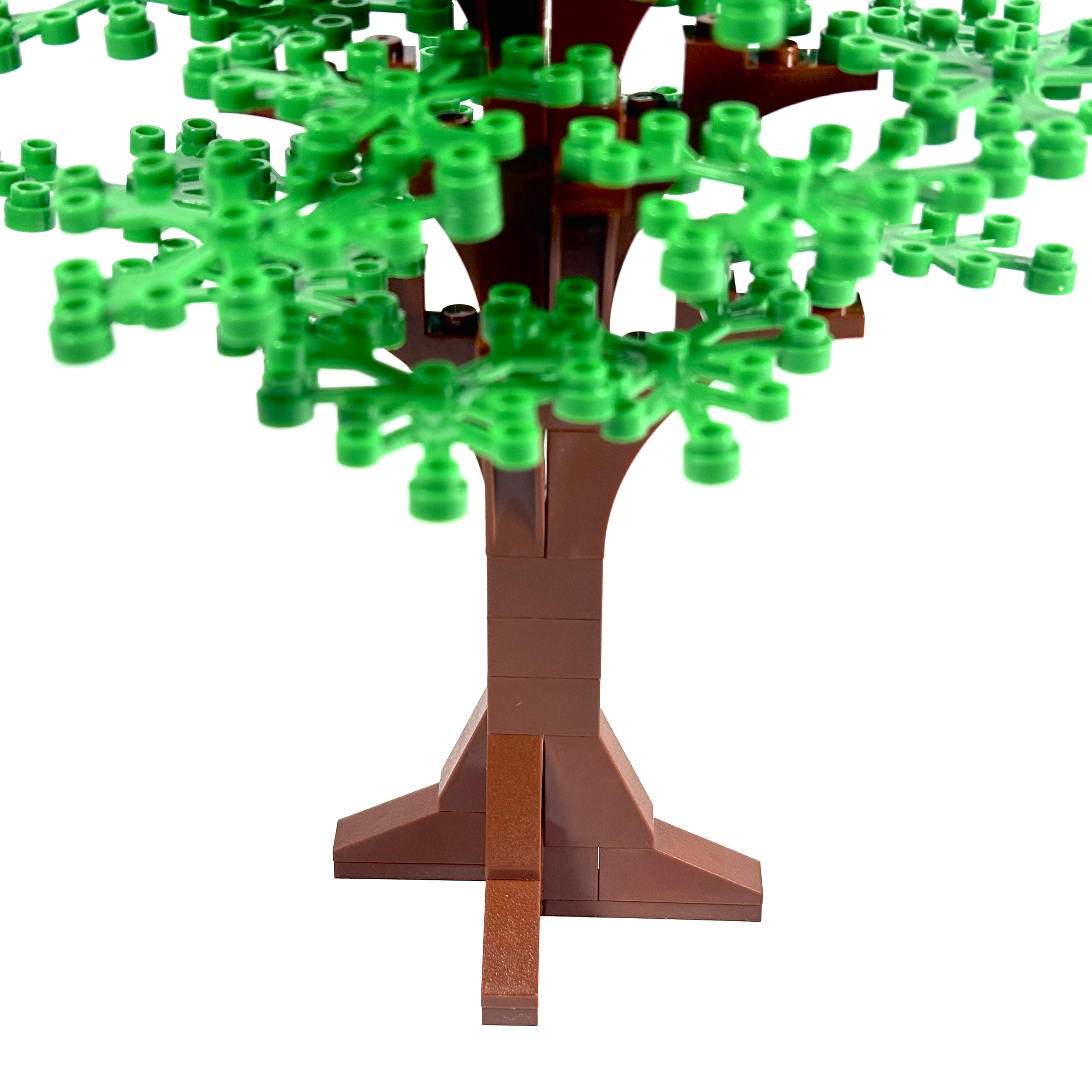 Large Oak Tree