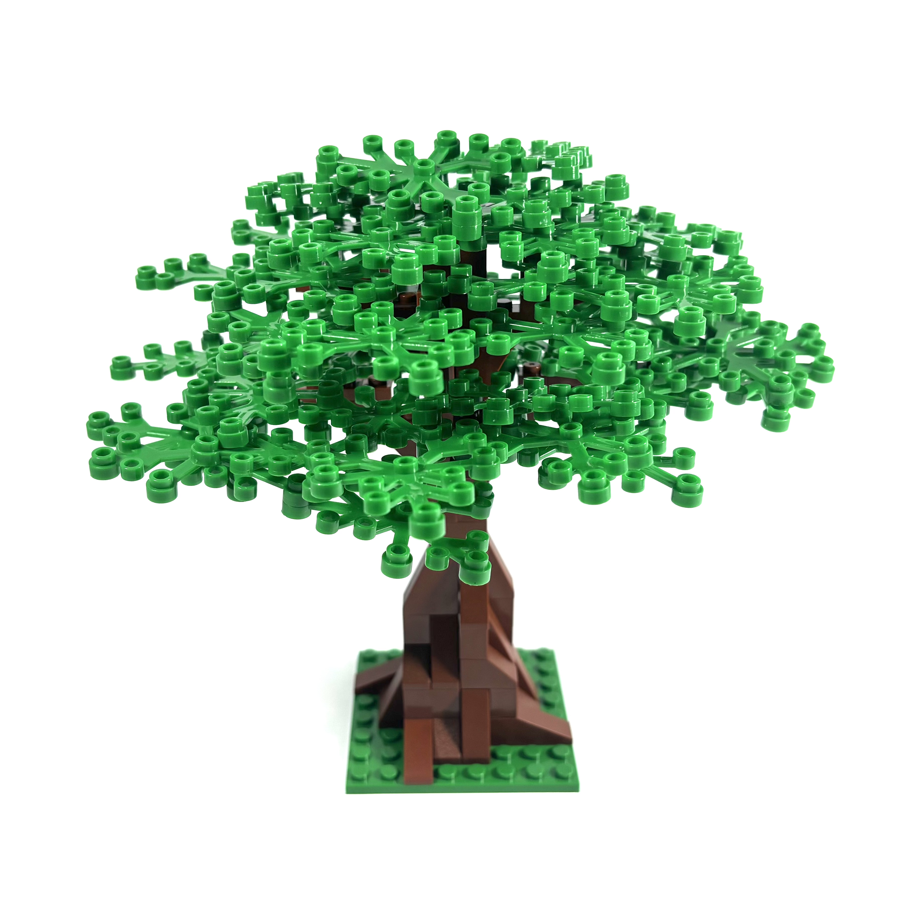 Extra Large Oak Tree