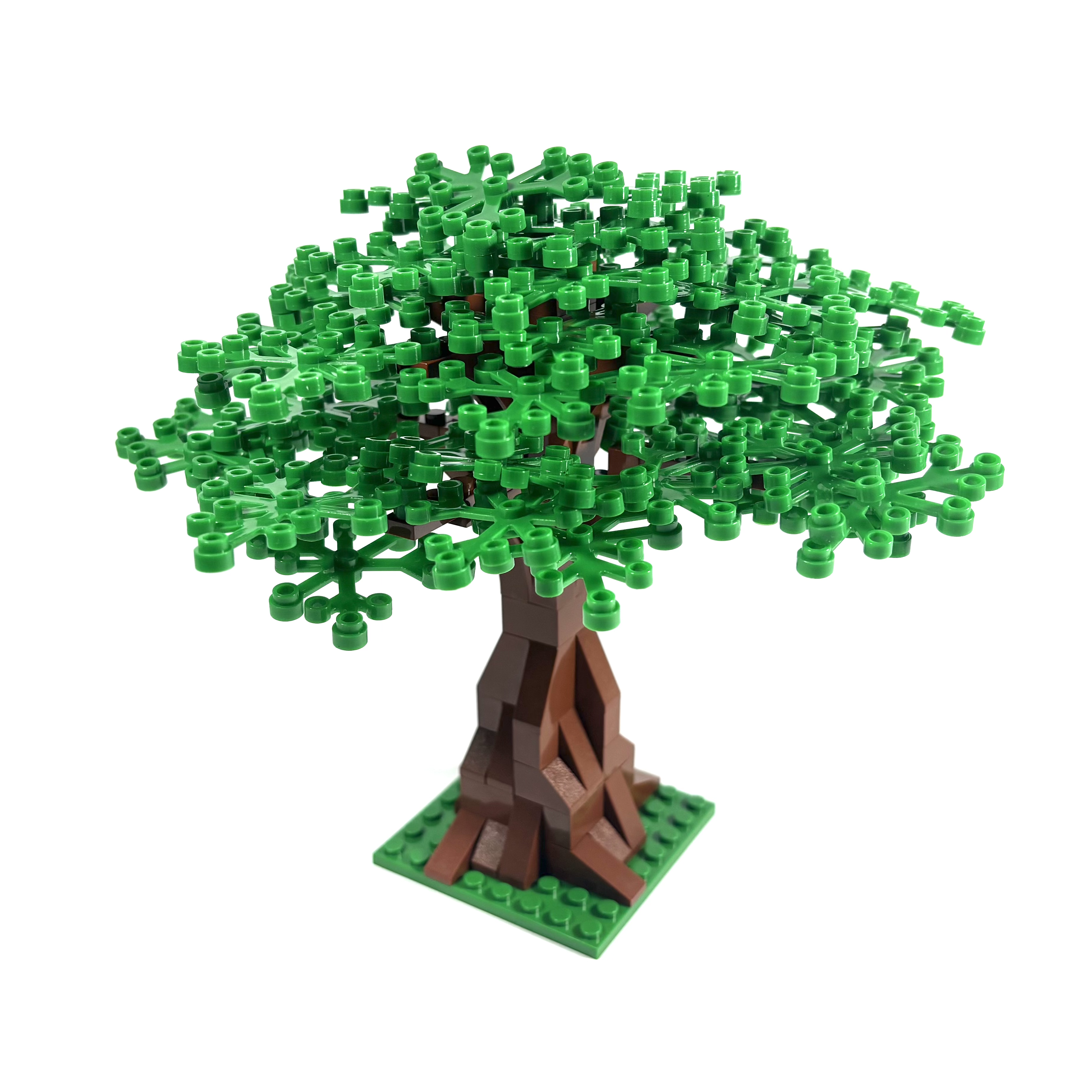 Extra Large Oak Tree