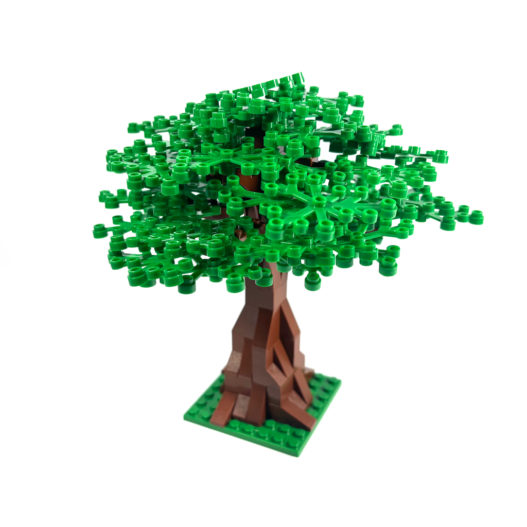 Extra Large Oak Tree