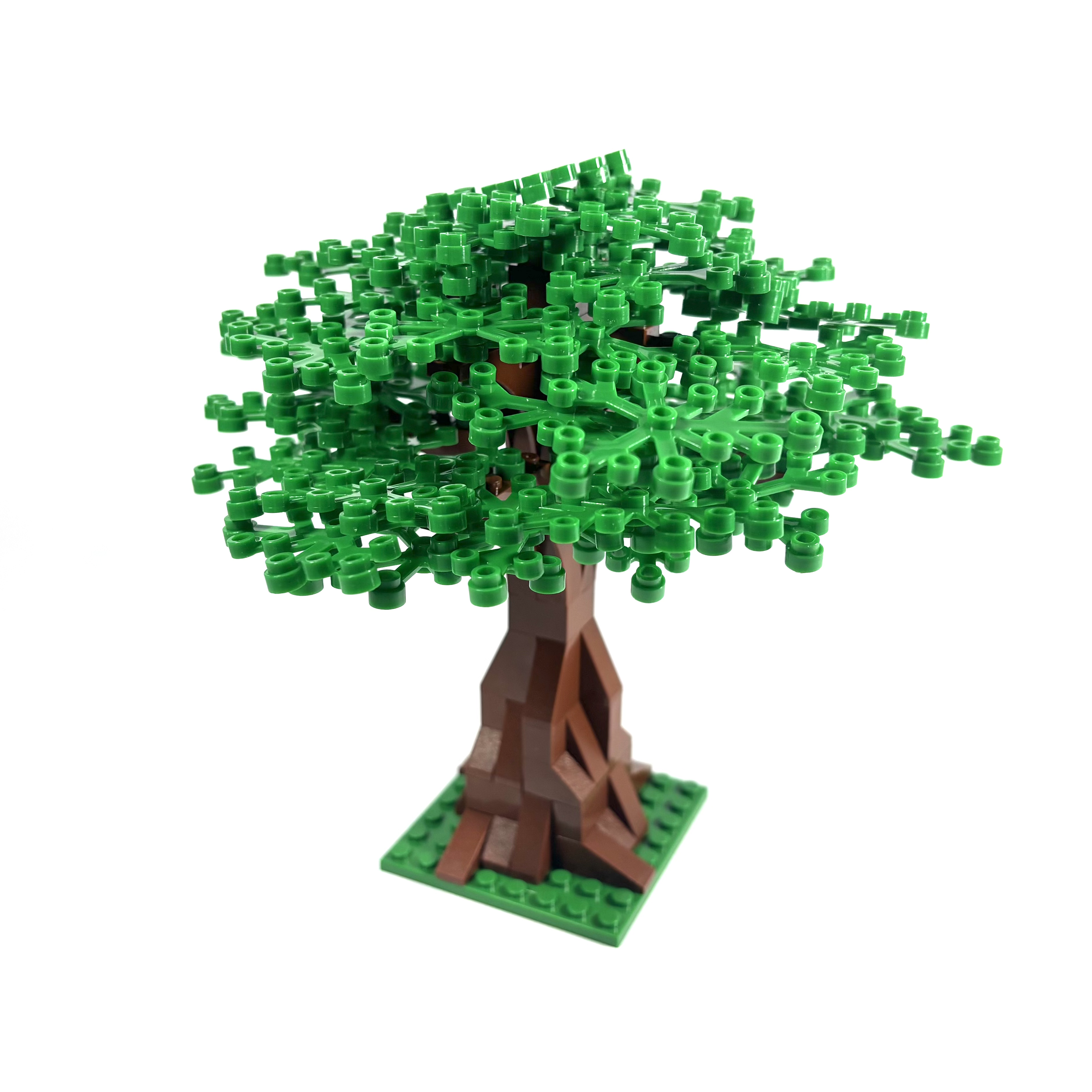 Extra Large Oak Tree