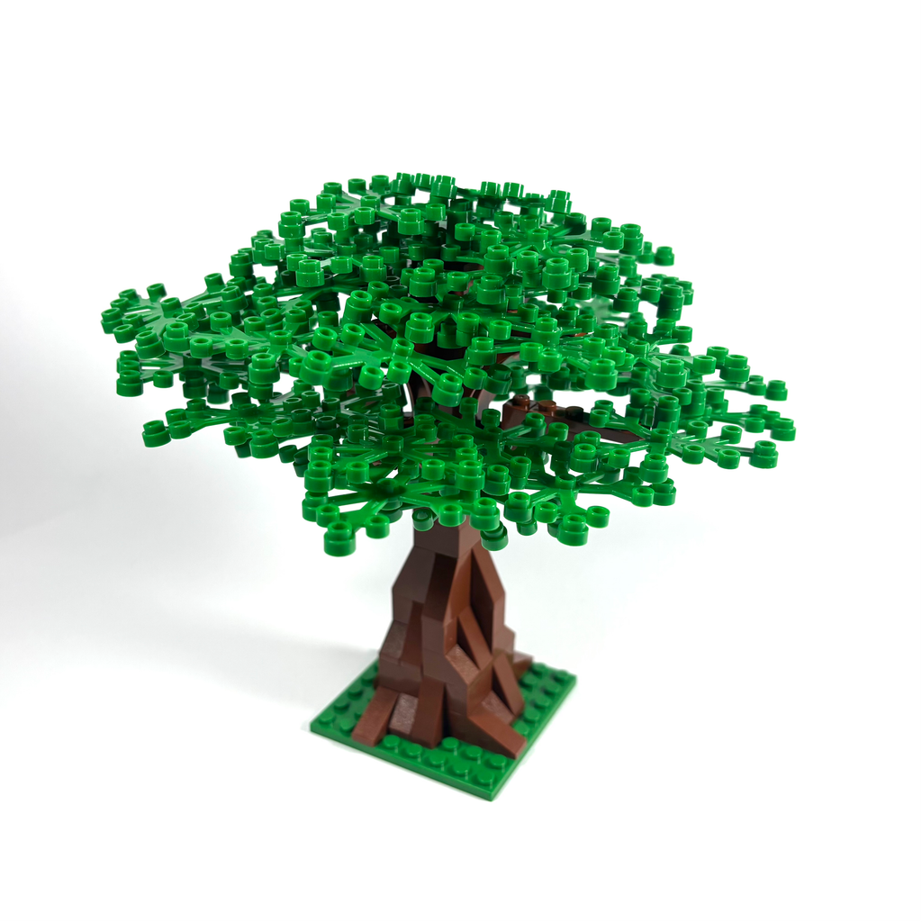 Extra Large Oak Tree