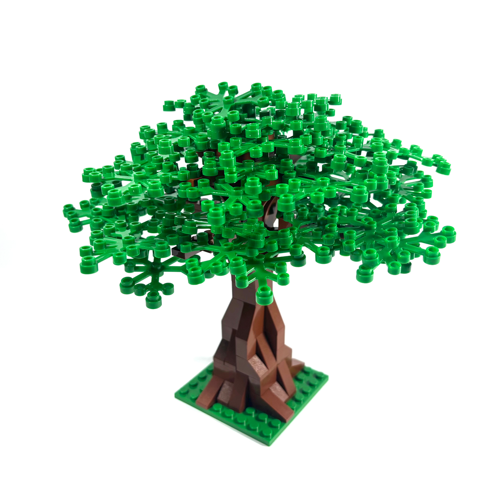 Extra Large Oak Tree