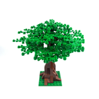 Extra Large Oak Tree