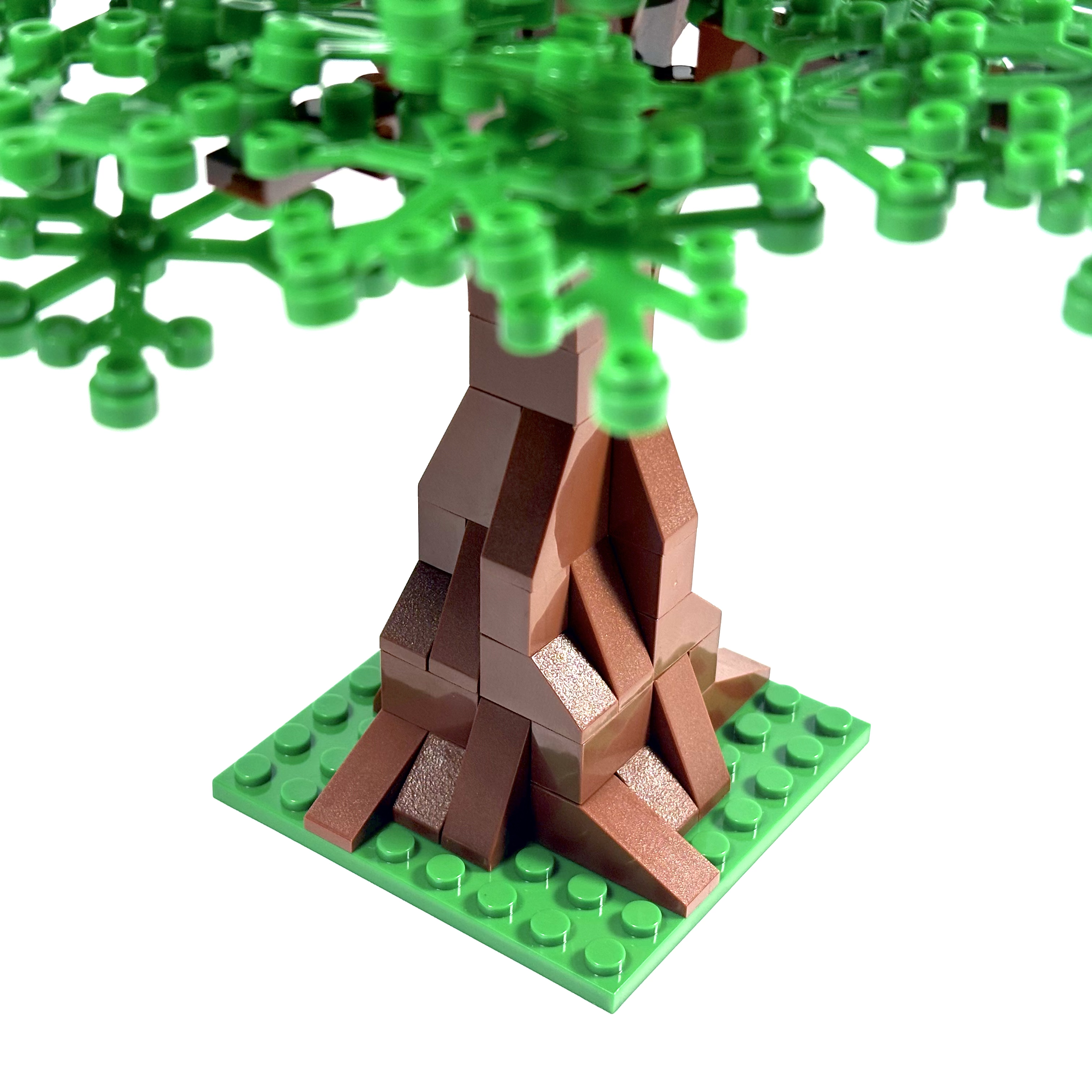 Extra Large Oak Tree