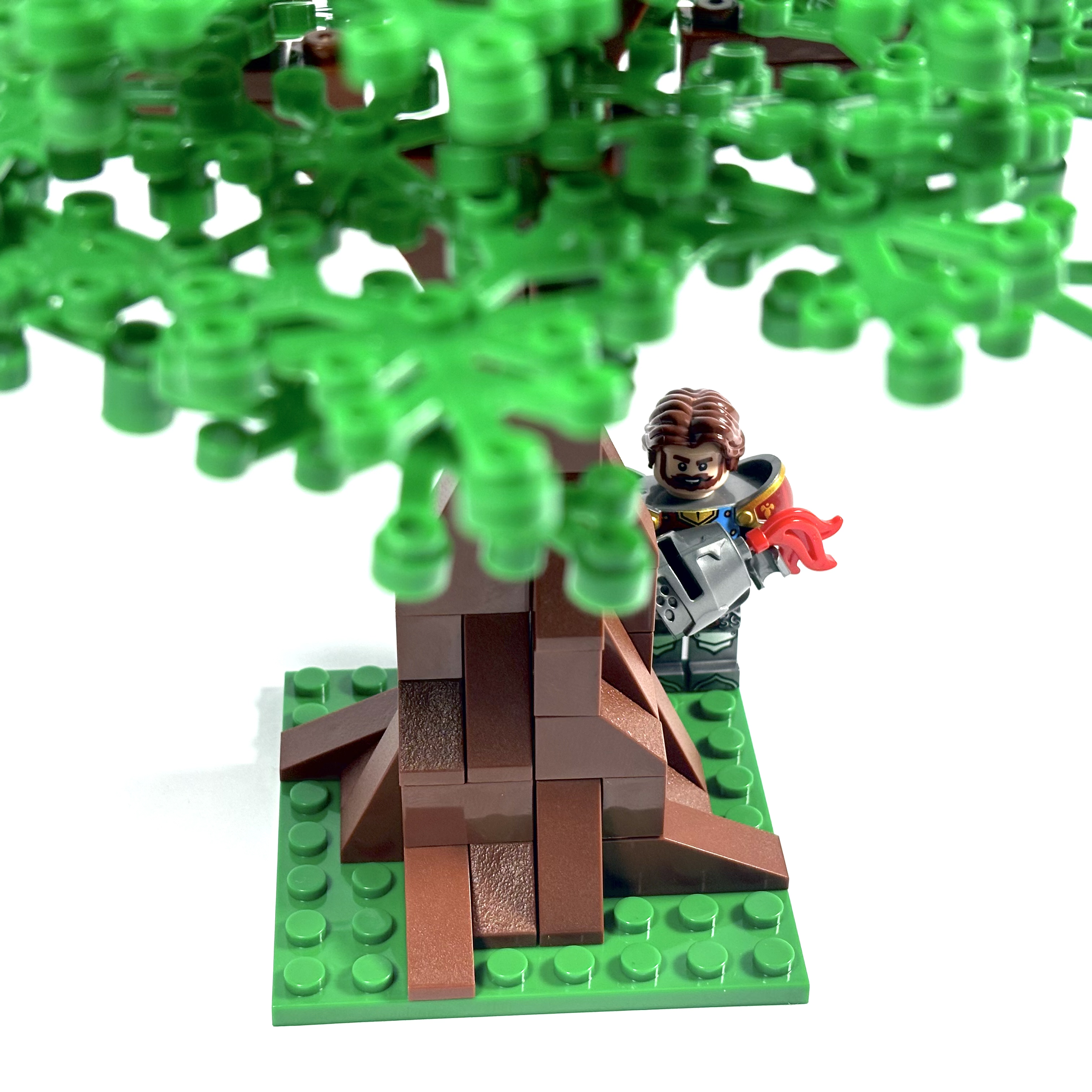 Extra Large Oak Tree